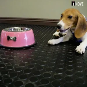 Piso emborrachado Laminado - Inove tapetes